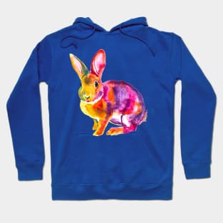 Rainbow Cute Rabbit Hoodie